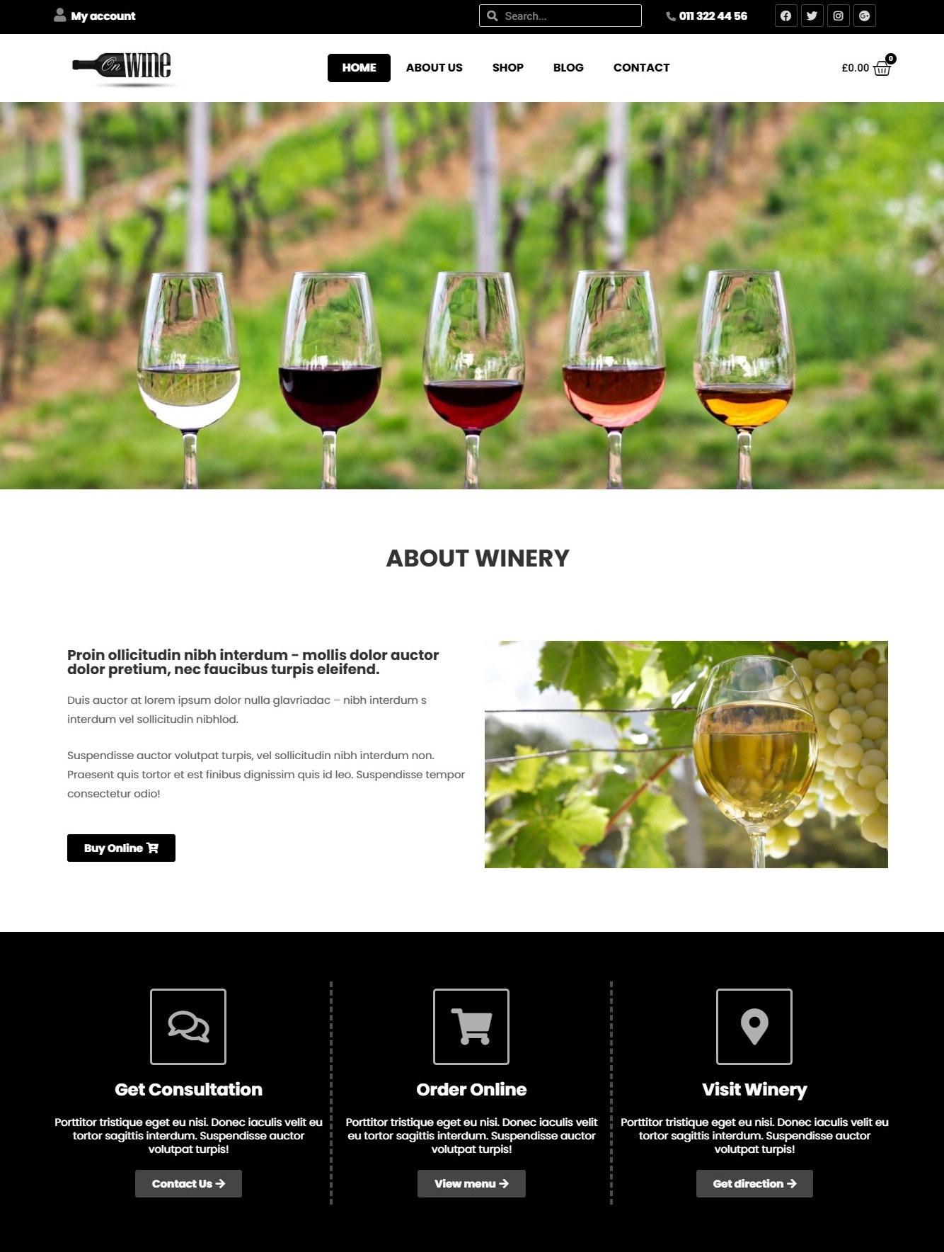 screenshot webnseocompany.com 2020.08.04 09 21 00 2