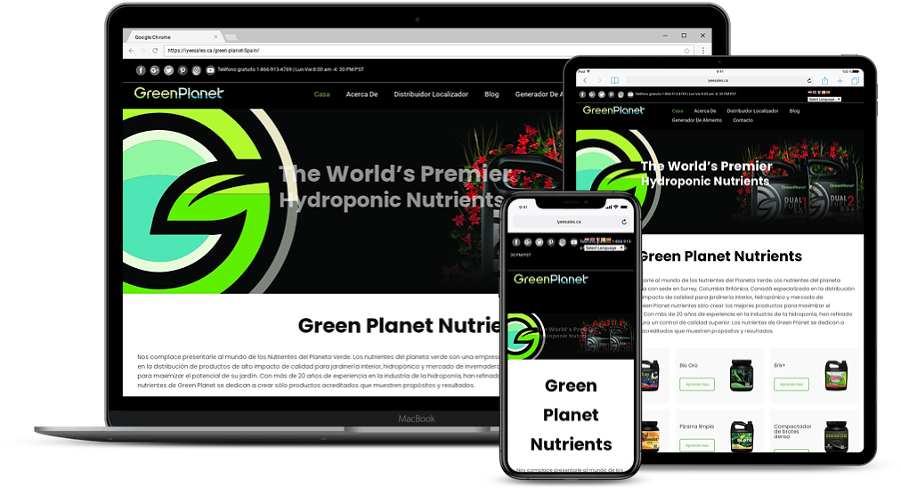 smartmockups kej8tpe3