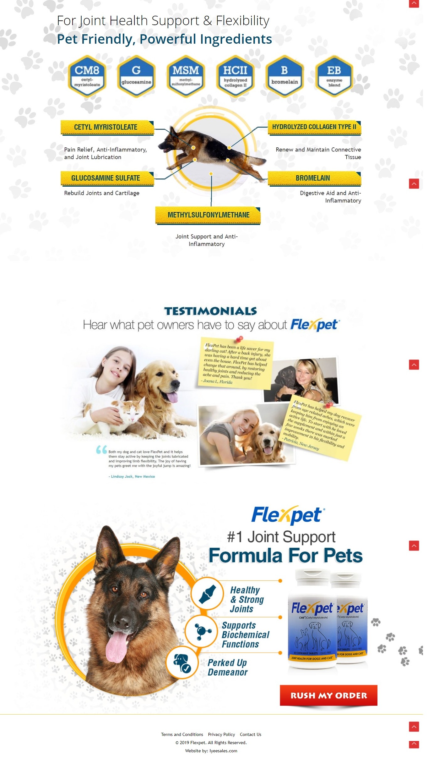 screenshot webnseocompany.com 2020.09.08 08 33 04 3