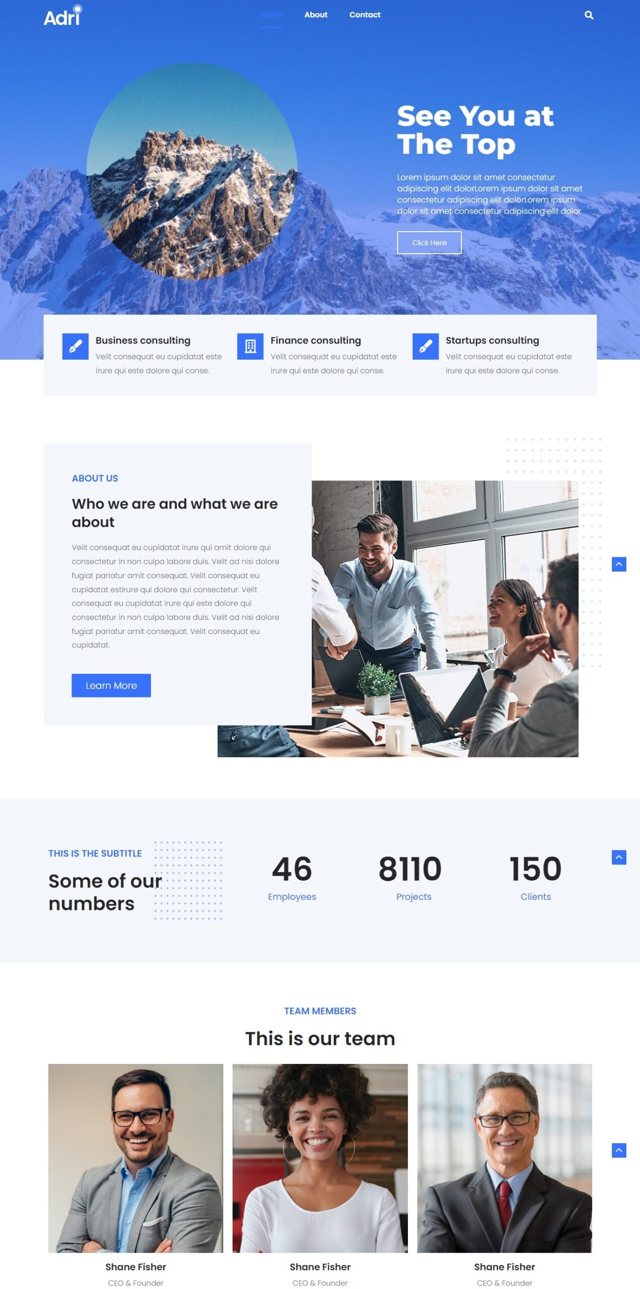 screenshot wpwebdirectory.com 2022.03.25 09 26 50 scaled